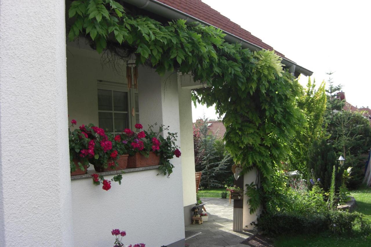 Appartement Am Goldberg Goldbach  Dış mekan fotoğraf