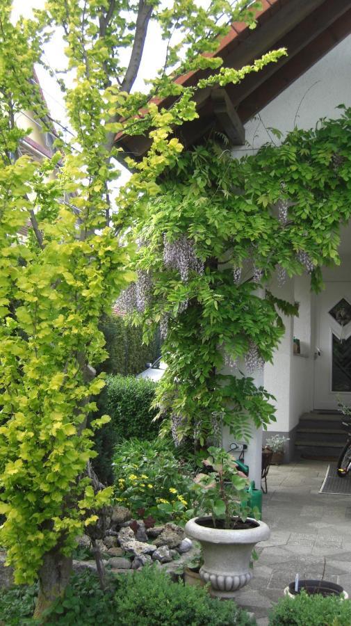 Appartement Am Goldberg Goldbach  Dış mekan fotoğraf